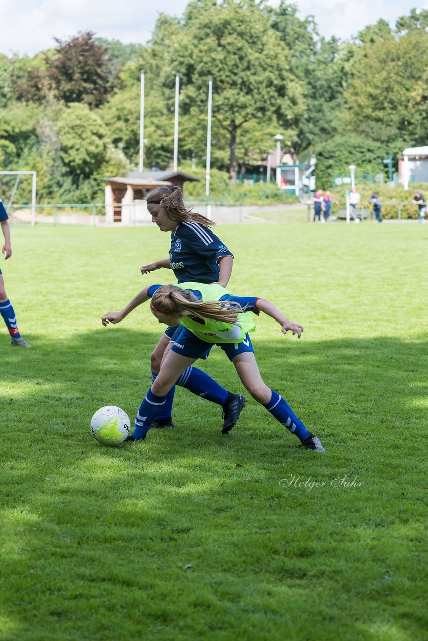 Bild 177 - B-Juniorinnen VfL Pinneberg - HSV : Ergebnis: 1:4